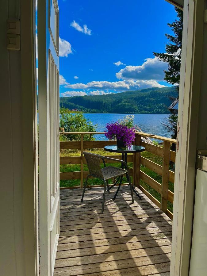 Aspnes Camping As Mosjøen Dış mekan fotoğraf